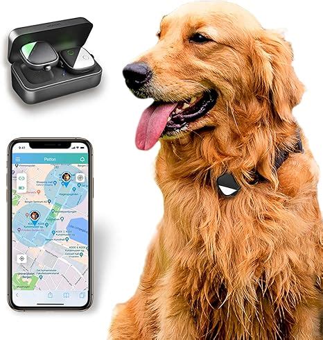 pet gps no monthly fee.